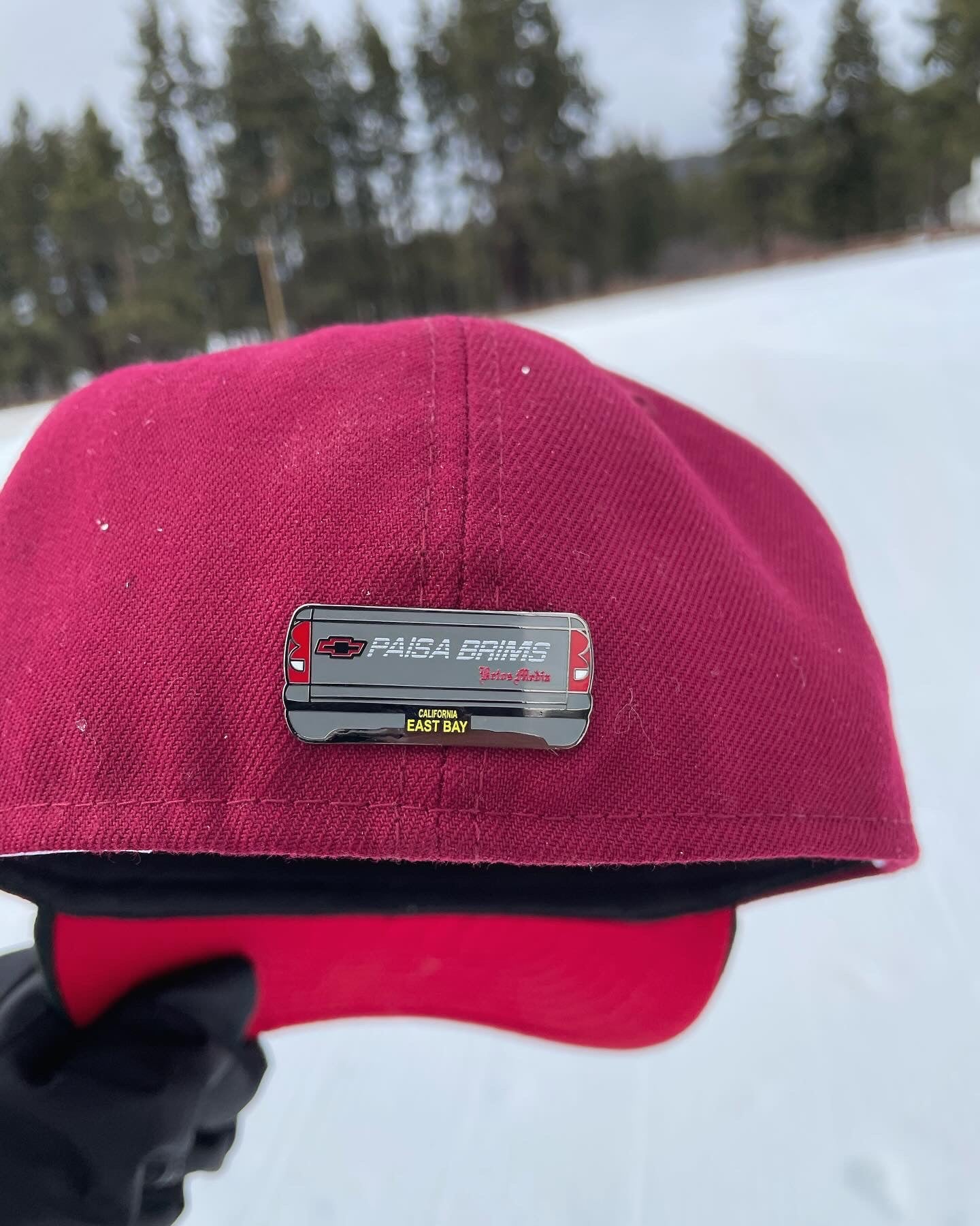 Tailgate Truck Pin